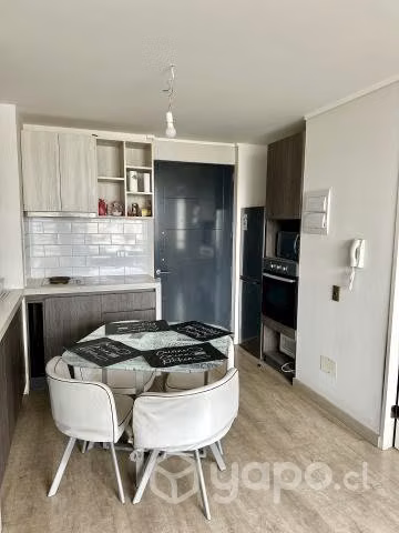 Arriendo hermoso y centrico departamendo por dia