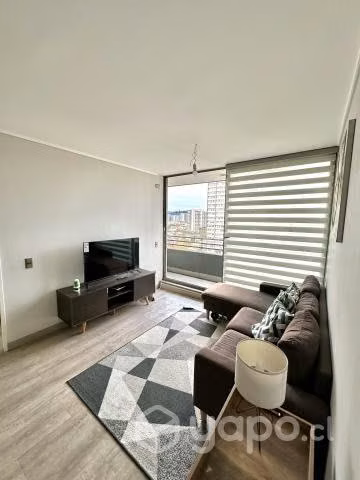 Arriendo hermoso y centrico departamendo por dia
