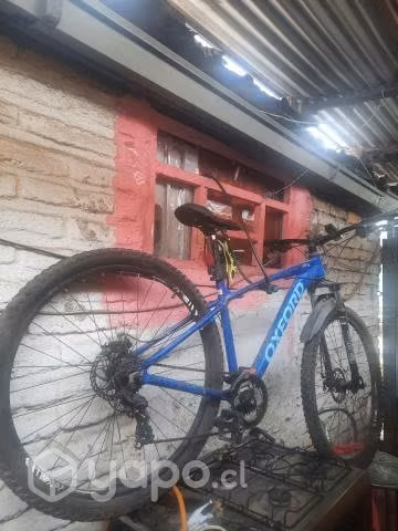 Bicicleta