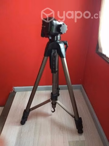 Nikon D5100