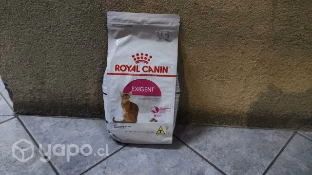 Alimento Gato Royal Canin Exigent