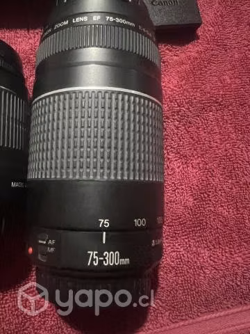 Canon t5