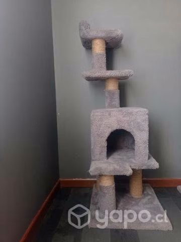 Rascadores nuevos