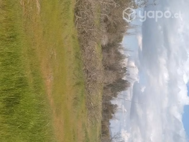 Terreno en venta - Imagen 4