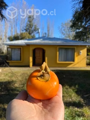 Casa habitación con terreno