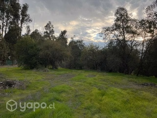 Terreno con Galpón / Río Claro / Orilla 5 Sur