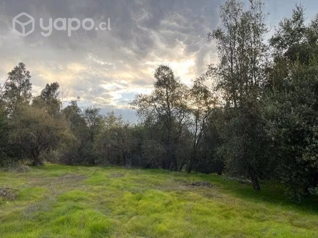 Terreno con Galpón / Río Claro / Orilla 5 Sur