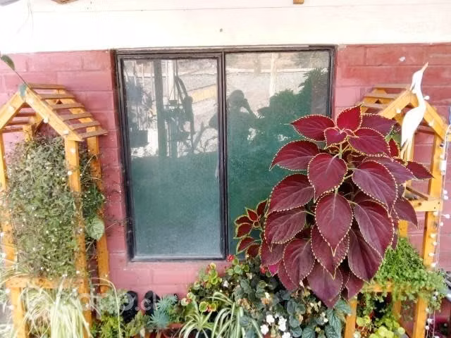 Vendo casa