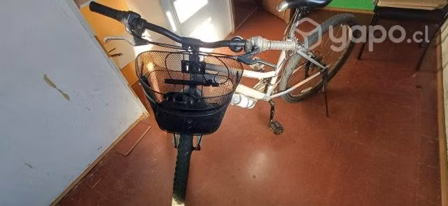 Bicicleta mujer