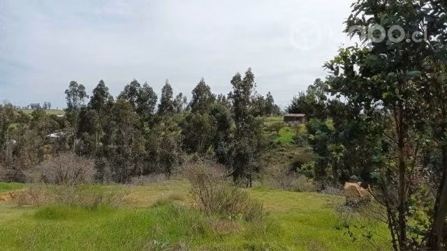 Vendo parcela de 5.000 m2, la Estrella
