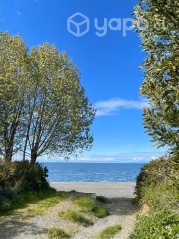 Macrolotes en chiloe- quemchi