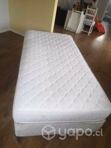 Cama de plaza y media