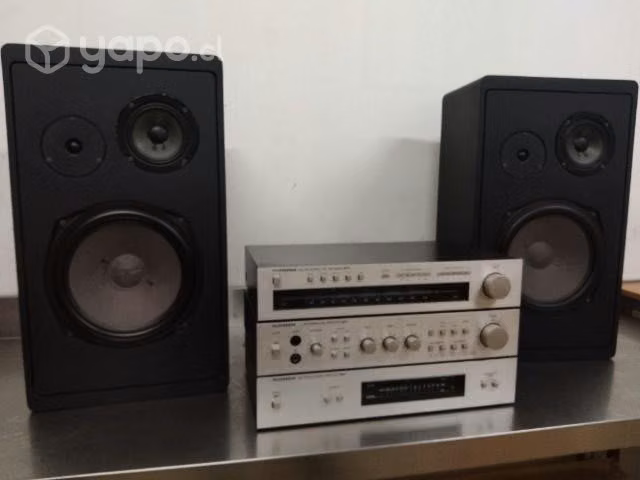 Equipo Telefunken con parlantes Visonik