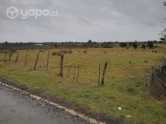 Vendo 1 hectárea en Panitao Alto