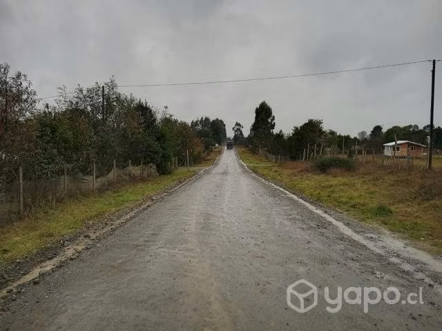 Vendo 1 hectárea en Panitao Alto