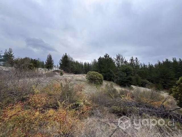 Terreno en sector de Tomeco, Yumbel - Imagen 7