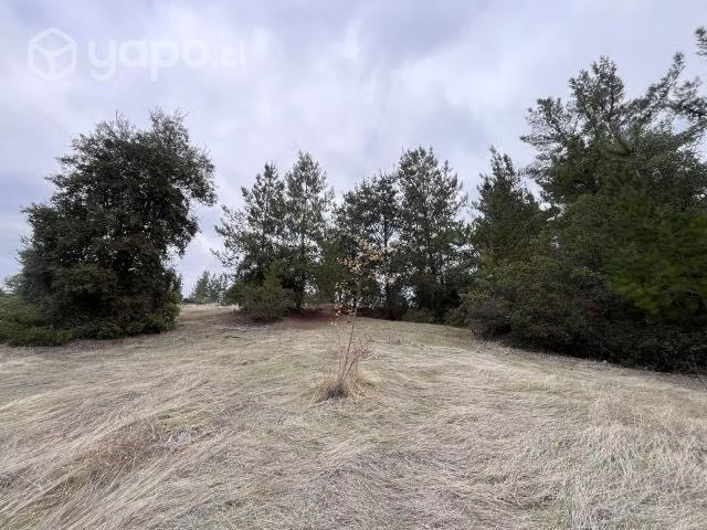 Terreno en sector de Tomeco, Yumbel - Imagen 6