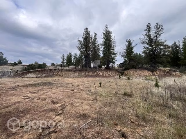 Terreno en sector de Tomeco, Yumbel - Imagen 3