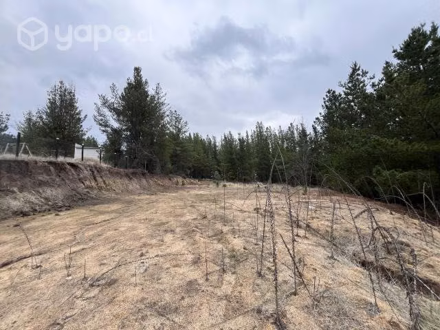 Terreno en sector de Tomeco, Yumbel - Imagen 5