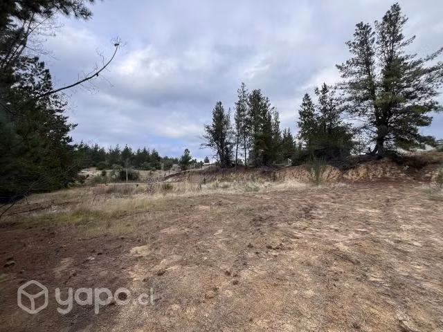 Terreno en sector de Tomeco, Yumbel