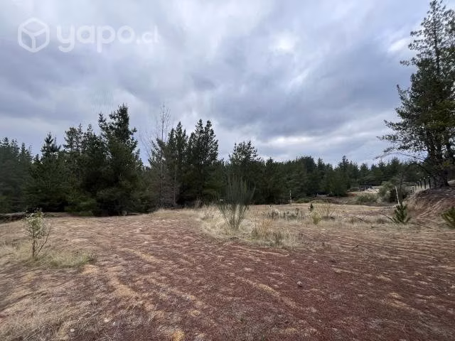 Terreno en sector de Tomeco, Yumbel - Imagen 2