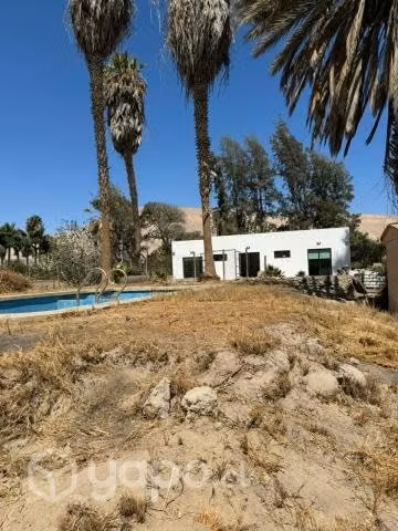 Venta de Parcela con Casa, Azapa Arica, 5000 mts2