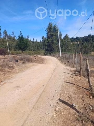 Terreno - Imagen 3