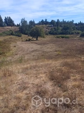 Terreno - Imagen 2