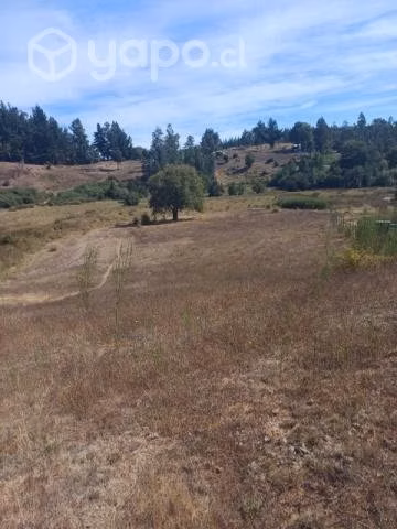 Terreno - Imagen 5