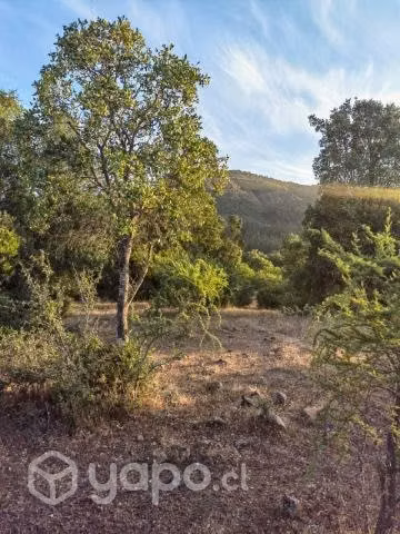 Hermosa parcela con ACCESO A LAGO MACHICURA