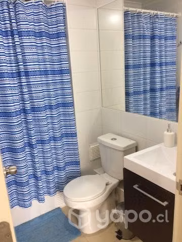 Arriendo Dpto La Serena Año corrido