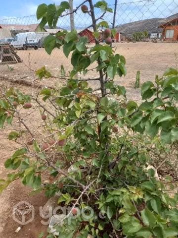 Se vende terreno a las afueras de coquimbo - Imagen 16