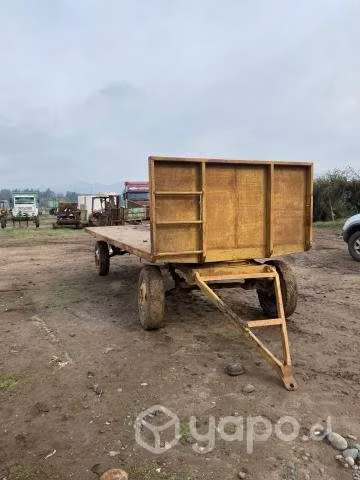 Coloso de arrastre 6.000 kilos