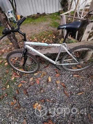Bicicleta Opaltech aro 26. - Imagen 2