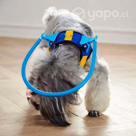 Arnes para perritos ciegos XXS a L