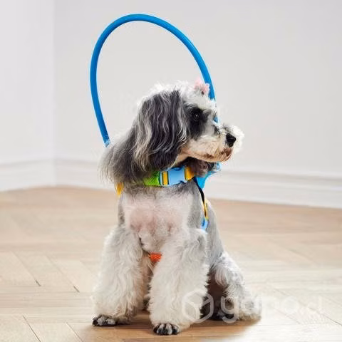 Arnes para perritos ciegos XXS a L