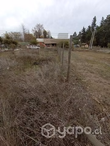 Se vende sitio - Imagen 4