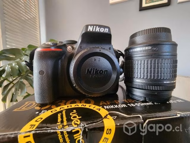 Nikon D5300 + Nikon 18-55 + Sigma 18-300