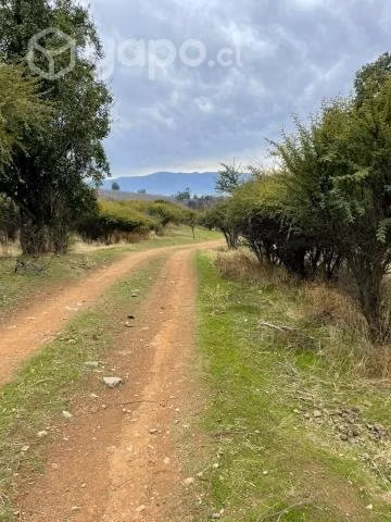 Venta terreno 8 ha en Codegua - Imagen 15