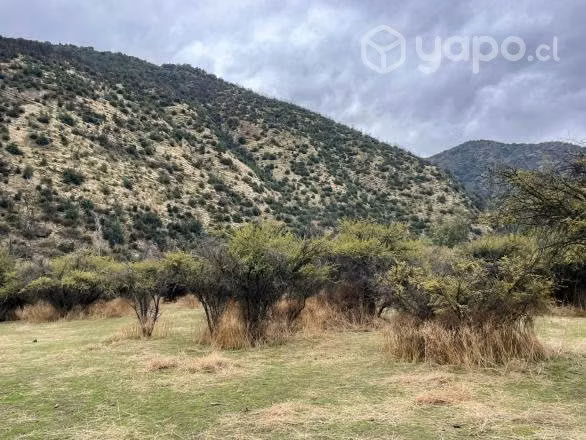 Venta terreno 8 ha en Codegua - Imagen 6