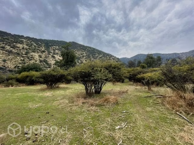Venta terreno 8 ha en Codegua - Imagen 7