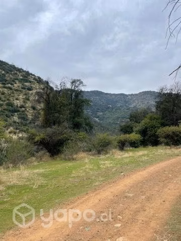 Venta terreno 8 ha en Codegua - Imagen 14
