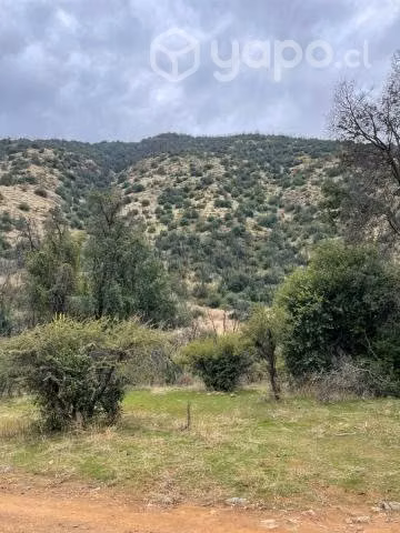 Venta terreno 8 ha en Codegua - Imagen 13
