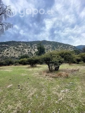 Venta terreno 8 ha en Codegua - Imagen 8