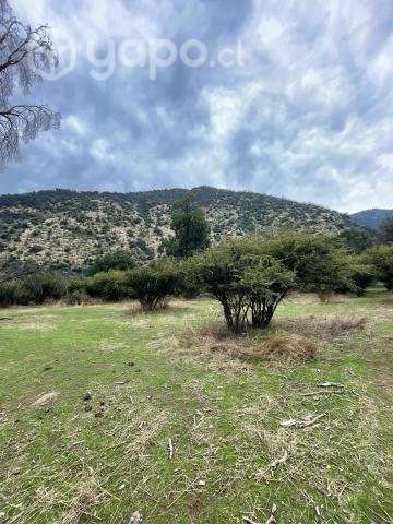 Venta terreno 4 ha Codegua - Imagen 5