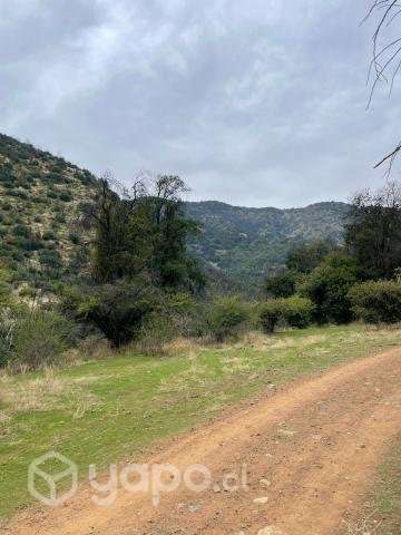 Venta terreno 4 ha Codegua - Imagen 11
