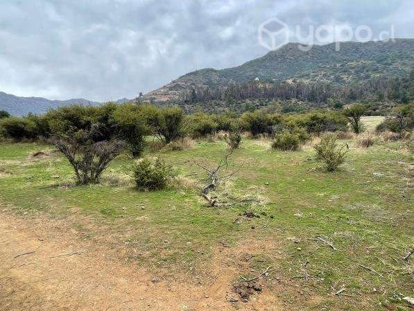 Venta terreno 4 ha Codegua - Imagen 14
