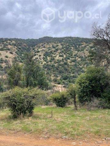 Venta terreno 4 ha Codegua - Imagen 10