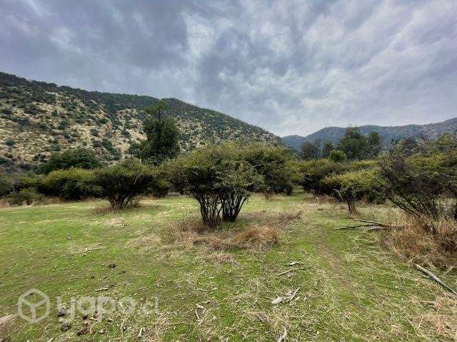 Venta terreno 4 ha Codegua - Imagen 4