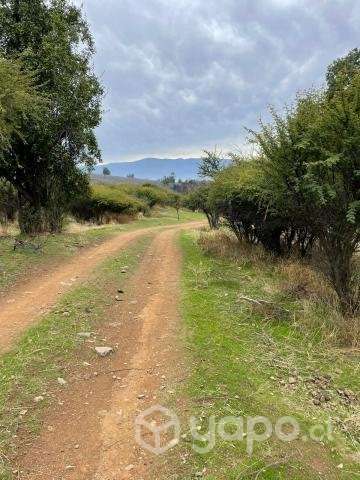 Venta terreno 4 ha Codegua - Imagen 13